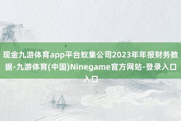 现金九游体育app平台蚁集公司2023年年报财务数据-九游体育(中国)Ninegame官方网站-登录入口