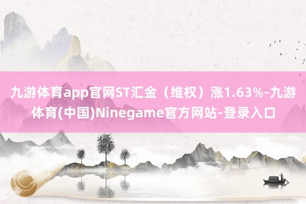 九游体育app官网ST汇金（维权）涨1.63%-九游体育(中国)Ninegame官方网站-登录入口