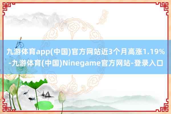 九游体育app(中国)官方网站近3个月高涨1.19%-九游体育(中国)Ninegame官方网站-登录入口